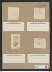 Coscinodiscus subconcavus Grun. (de-Toni-Nr.: Genus 202, Species 4885) Zeichnungen Sammlung Grunow Nr. 8644 (NHMW-BOT-W0378044)